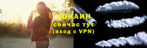 спайс Няндома