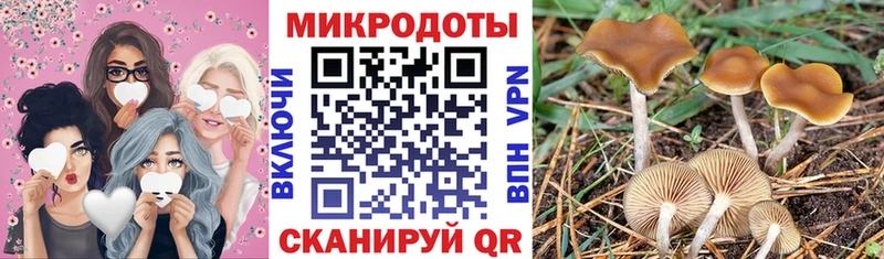 Псилоцибиновые грибы Psilocybe  гидра зеркало  Карачаевск  цены  