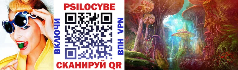 Галлюциногенные грибы Psilocybine cubensis Карачаевск